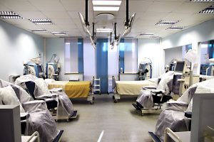 6-min-300x200 Gallery