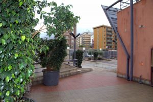 esterno-esterno-xxx0-300x200 Gallery